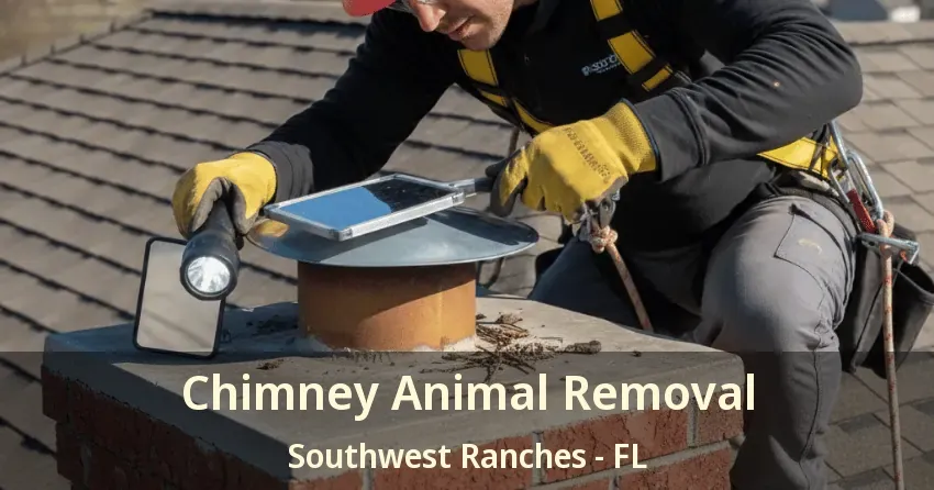 Chimney Animal Removal Southwest Ranches - FL Chimney Animal Removal Southwest Ranches - FL