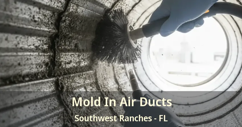 Mold In Air Ducts Southwest Ranches - FL
