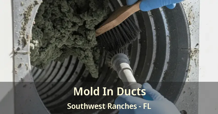 Mold In Ducts Southwest Ranches - FL